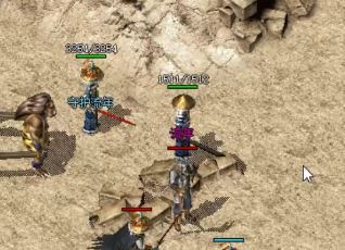 找私服当中道士玩家应该怎么做? 找私服当中道士玩家应该怎么做?