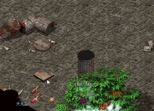 在变态版本传奇中大家爱铂金戒指的原因 在变态版本传奇中大家爱铂金戒指的原因