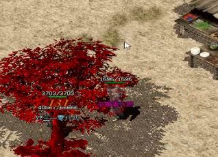 �ڹ�䴫˵�У������߲�ͬ·�ߵ�����ƫ����