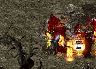 玩家占卜的最佳时间是什么时候 玩家占卜的最佳时间是什么时候