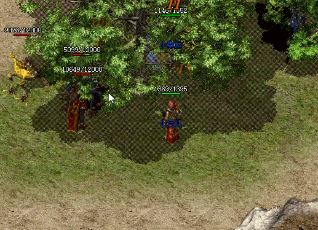 传奇里有哪些掉宝物的活动 传奇里有哪些掉宝物的活动