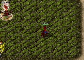 法神套原来有如此强悍属性 法神套原来有如此强悍属性