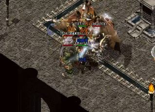 �������ֲ�������ѡ�ĸ�ְҵ