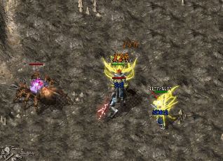 传奇新服网单火爆开启! 传奇新服网单火爆开启!