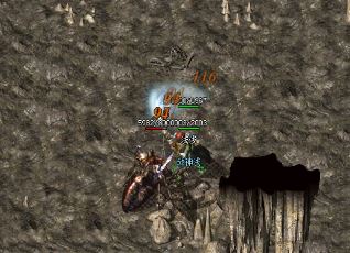 1.复古鹰卫和虎卫之间有哪些区别,需要花费76金币。 1.复古鹰卫和虎卫之间有哪些区别,需要花费76金币。