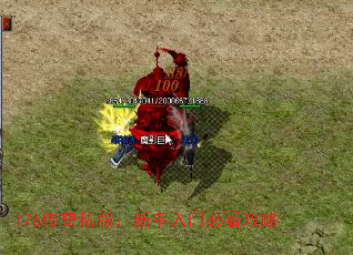 176传奇私服:新手入门必看攻略 176传奇私服:新手入门必看攻略