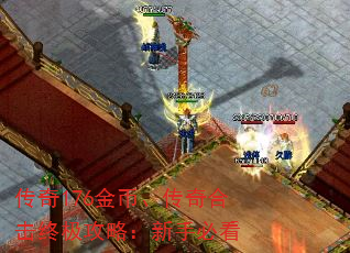 传奇176金币、传奇合击终极攻略:新手必看 传奇176金币、传奇合击终极攻略:新手必看