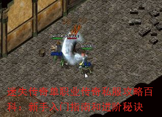 迷失传奇单职业传奇私服攻略百科:新手入门指南和进阶秘诀 迷失传奇单职业传奇私服攻略百科:新手入门指南和进阶秘诀