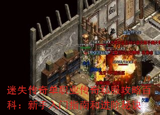 迷失传奇单职业传奇私服攻略百科:新手入门指南和进阶秘诀 迷失传奇单职业传奇私服攻略百科:新手入门指南和进阶秘诀