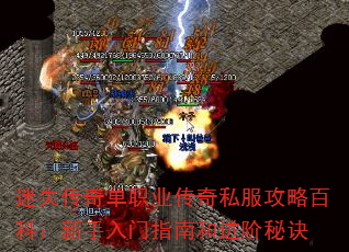 迷失传奇单职业传奇私服攻略百科:新手入门指南和进阶秘诀 迷失传奇单职业传奇私服攻略百科:新手入门指南和进阶秘诀