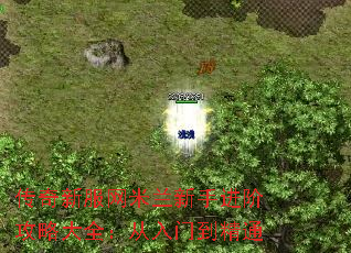 传奇新服网米兰新手进阶攻略大全:从入门到精通 传奇新服网米兰新手进阶攻略大全:从入门到精通