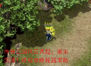 传奇江湖风云再起,谁主沉浮?终极攻略秘籍求助 传奇江湖风云再起,谁主沉浮?终极攻略秘籍求助