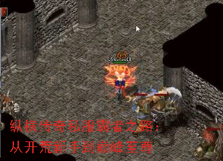 纵横传奇私服霸者之路:从开荒新手到巅峰至尊 纵横传奇私服霸者之路:从开荒新手到巅峰至尊