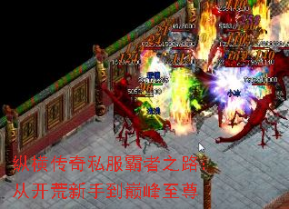 纵横传奇私服霸者之路:从开荒新手到巅峰至尊 纵横传奇私服霸者之路:从开荒新手到巅峰至尊