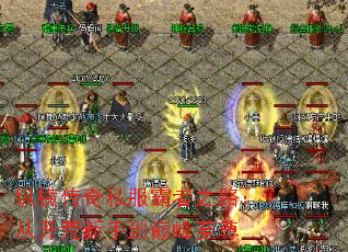 纵横传奇私服霸者之路:从开荒新手到巅峰至尊 纵横传奇私服霸者之路:从开荒新手到巅峰至尊