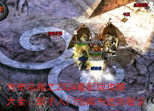 传奇私服之2024最新版攻略大全:新手入门指南与进阶秘诀 传奇私服之2024最新版攻略大全:新手入门指南与进阶秘诀