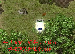 盛世传奇:新手披荆斩棘,纵横玛法大陆全攻略 盛世传奇:新手披荆斩棘,纵横玛法大陆全攻略