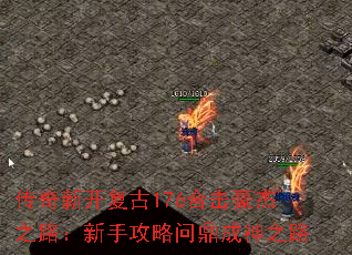 �����¿�����176�ϻ�����֮·�����ֹ����ʶ�����֮·