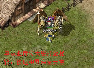 单职业传奇大服打金秘籍:快速积累海量元宝 单职业传奇大服打金秘籍:快速积累海量元宝