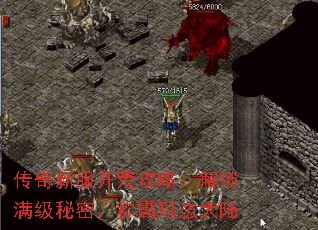 传奇新服开荒攻略:解锁满级秘密,称霸玛法大陆 传奇新服开荒攻略:解锁满级秘密,称霸玛法大陆