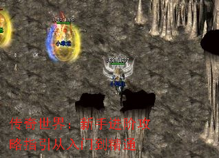 传奇世界:新手进阶攻略指引从入门到精通 传奇世界:新手进阶攻略指引从入门到精通