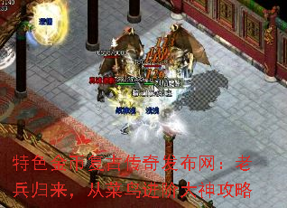 特色金币复古传奇发布网:老兵归来,从菜鸟进阶大神攻略 特色金币复古传奇发布网:老兵归来,从菜鸟进阶大神攻略