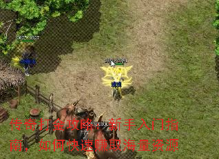 传奇打金攻略:新手入门指南,如何快速赚取海量资源 传奇打金攻略:新手入门指南,如何快速赚取海量资源