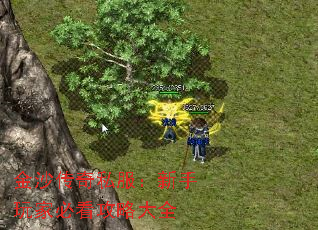 金沙传奇私服:新手玩家必看攻略大全 金沙传奇私服:新手玩家必看攻略大全