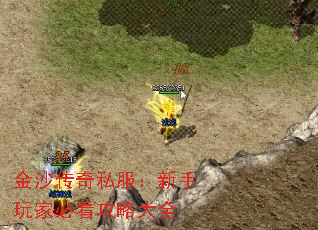 金沙传奇私服:新手玩家必看攻略大全 金沙传奇私服:新手玩家必看攻略大全