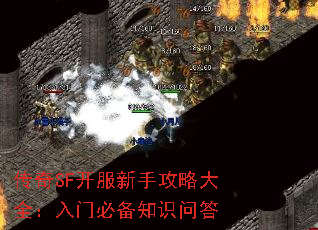 传奇SF开服新手攻略大全:入门必备知识问答 传奇SF开服新手攻略大全:入门必备知识问答