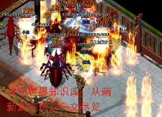 传奇世界知识库:从萌新到高玩,一文尽览 传奇世界知识库:从萌新到高玩,一文尽览