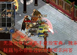 无度传奇私服高手进阶宝典:独家秘籍与不容错过的攻略知识问答 无度传奇私服高手进阶宝典:独家秘籍与不容错过的攻略知识问答