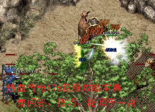 热血传奇176私服攻略宝典:集问答、技巧、秘闻于一身 热血传奇176私服攻略宝典:集问答、技巧、秘闻于一身