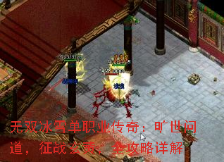 ��˫��ѩ��ְҵ���棺�����ʵ�����ս���ƣ�ȫ�������