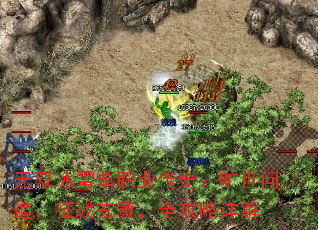 ��˫��ѩ��ְҵ���棺�����ʵ�����ս���ƣ�ȫ�������