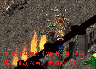 ��˫��ѩ��ְҵ���棺�����ʵ�����ս���ƣ�ȫ�������