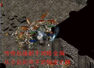 传奇私服新手攻略全解:从小白到高手的蜕变之路 传奇私服新手攻略全解:从小白到高手的蜕变之路