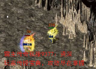 霸主传奇私服9377:资深玩家传授宝典,攻防尽在掌握 霸主传奇私服9377:资深玩家传授宝典,攻防尽在掌握