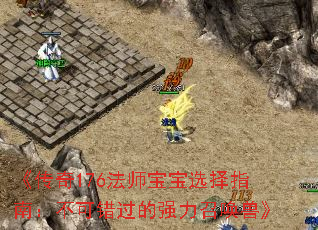 《传奇176法师宝宝选择指南:不可错过的强力召唤兽》 《传奇176法师宝宝选择指南:不可错过的强力召唤兽》