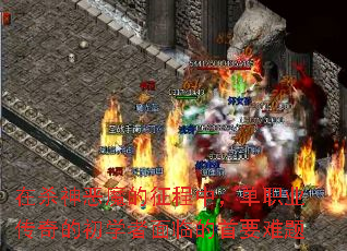 在杀神恶魔的征程中,单职业传奇的初学者面临的首要难题 在杀神恶魔的征程中,单职业传奇的初学者面临的首要难题