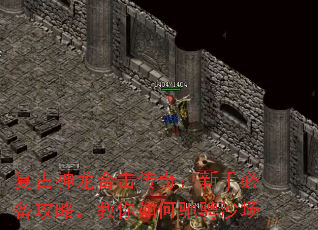 复古神龙合击传奇:新手必备攻略,教你如何驰骋沙场 复古神龙合击传奇:新手必备攻略,教你如何驰骋沙场