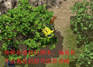 传奇私服挂机脚本:福音新手必看挂机软件实用攻略 传奇私服挂机脚本:福音新手必看挂机软件实用攻略