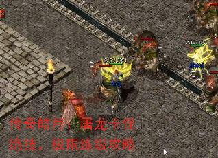 传奇皓月:屠龙卡怪绝技,极限练级攻略 传奇皓月:屠龙卡怪绝技,极限练级攻略