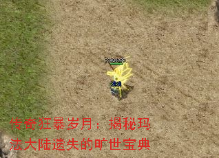 传奇狂暴岁月:揭秘玛法大陆遗失的旷世宝典 传奇狂暴岁月:揭秘玛法大陆遗失的旷世宝典