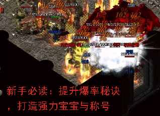 新手必读:提升爆率秘诀,打造强力宝宝与称号 新手必读:提升爆率秘诀,打造强力宝宝与称号