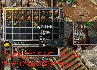 传奇私服新手入门:从小白到老江湖的终极修行指南 传奇私服新手入门:从小白到老江湖的终极修行指南