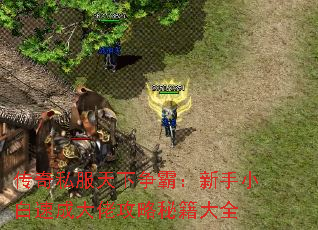 传奇私服天下争霸:新手小白速成大佬攻略秘籍大全 传奇私服天下争霸:新手小白速成大佬攻略秘籍大全