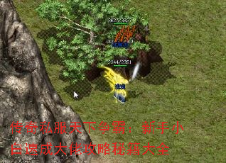 传奇私服天下争霸:新手小白速成大佬攻略秘籍大全 传奇私服天下争霸:新手小白速成大佬攻略秘籍大全