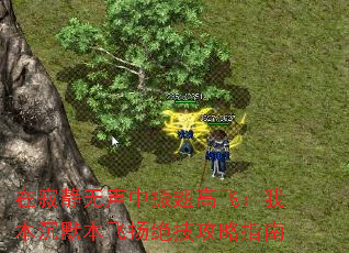 �ڼž����������߷ɣ��ұ���Ĭ�������������ָ��