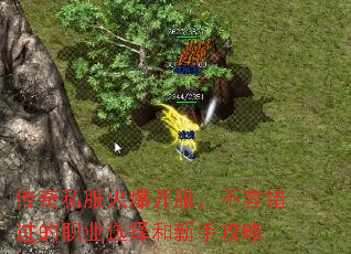 传奇私服火爆开服,不容错过的职业选择和新手攻略 传奇私服火爆开服,不容错过的职业选择和新手攻略